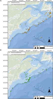 Hydrodynamic Connectivity of Habitats of Deep-Water Corals in Corsair Canyon, Northwest Atlantic: A Case for Cross-Boundary Conservation